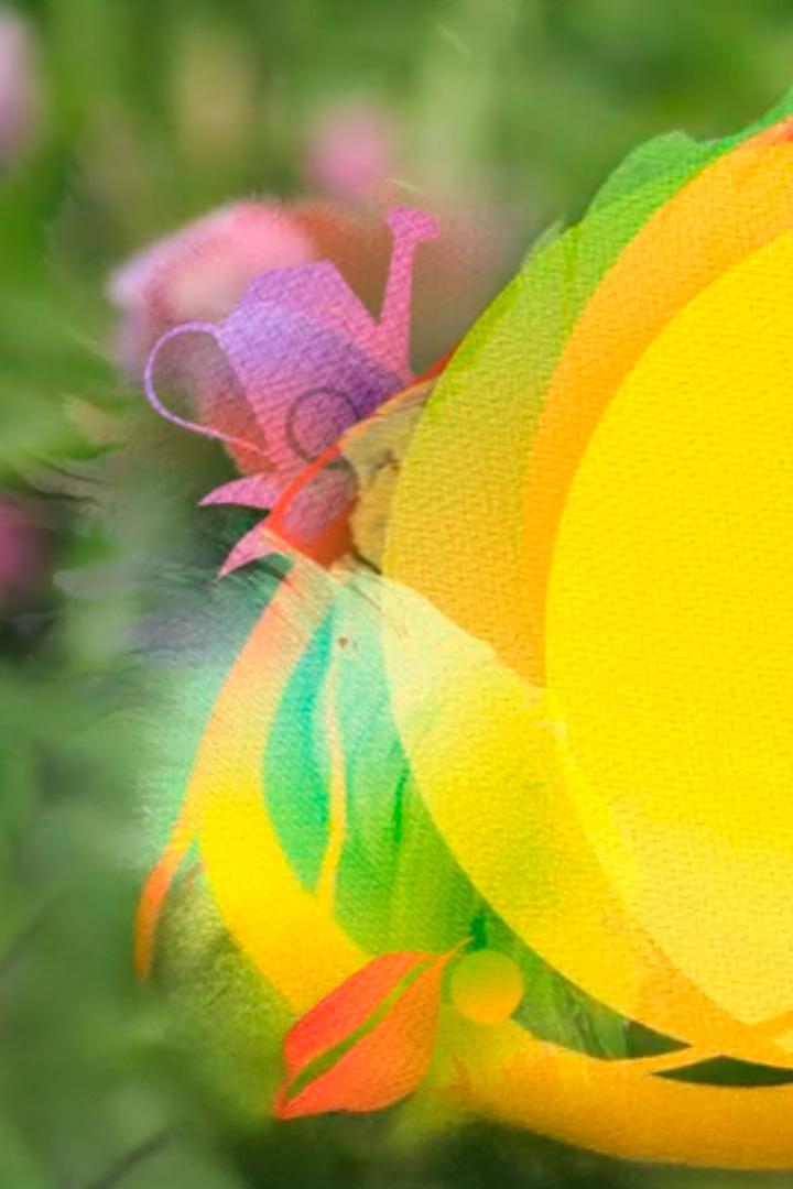 Сад-шедевр (sad-shedevr) Досуг, хобби