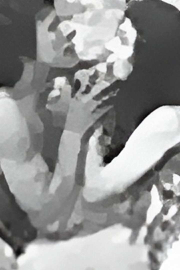 Армянские фрески (armjanskie-freski) Фильм 1972