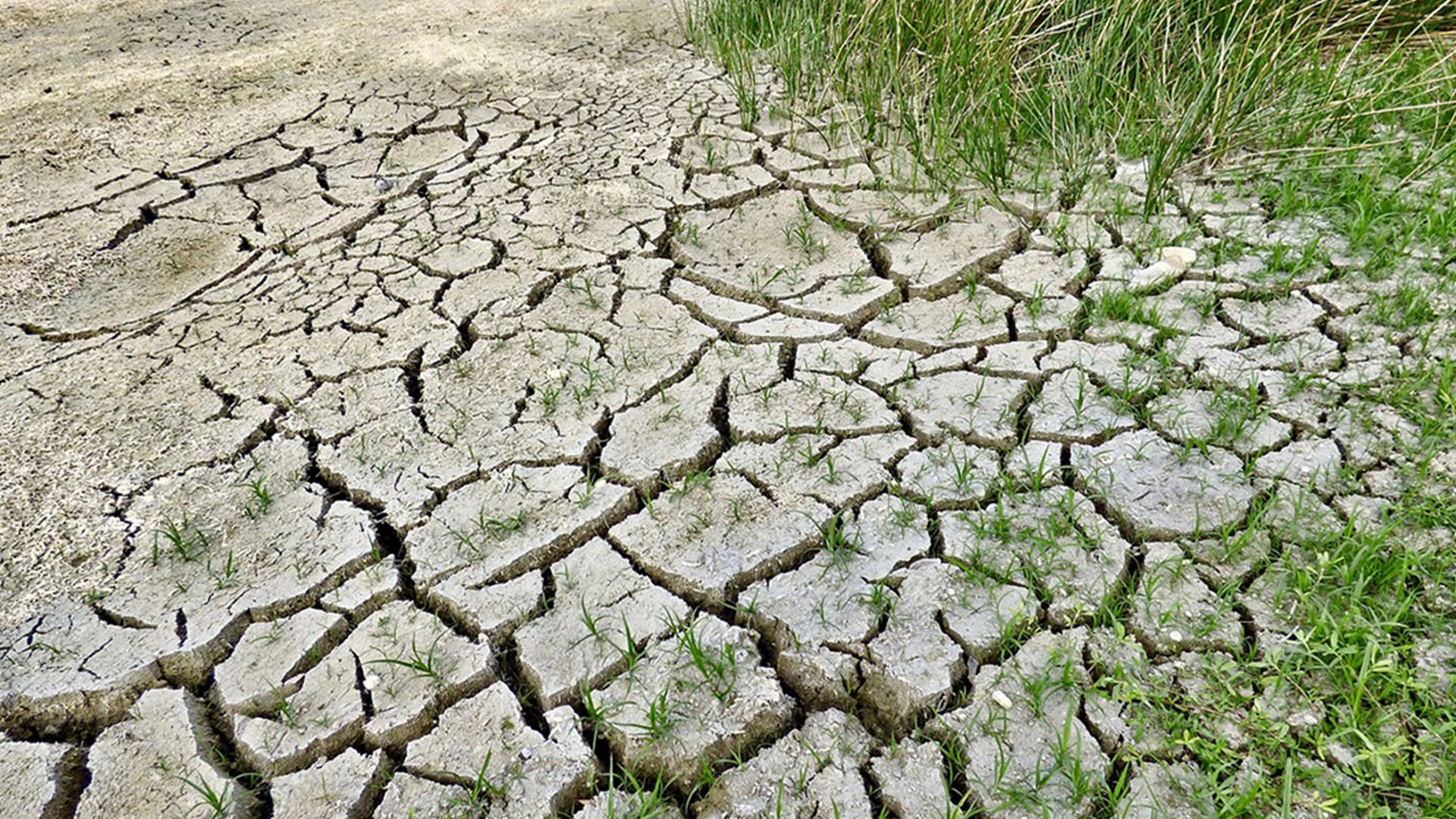 Смертельное лето (smertelnoe-leto) Документальный фильм