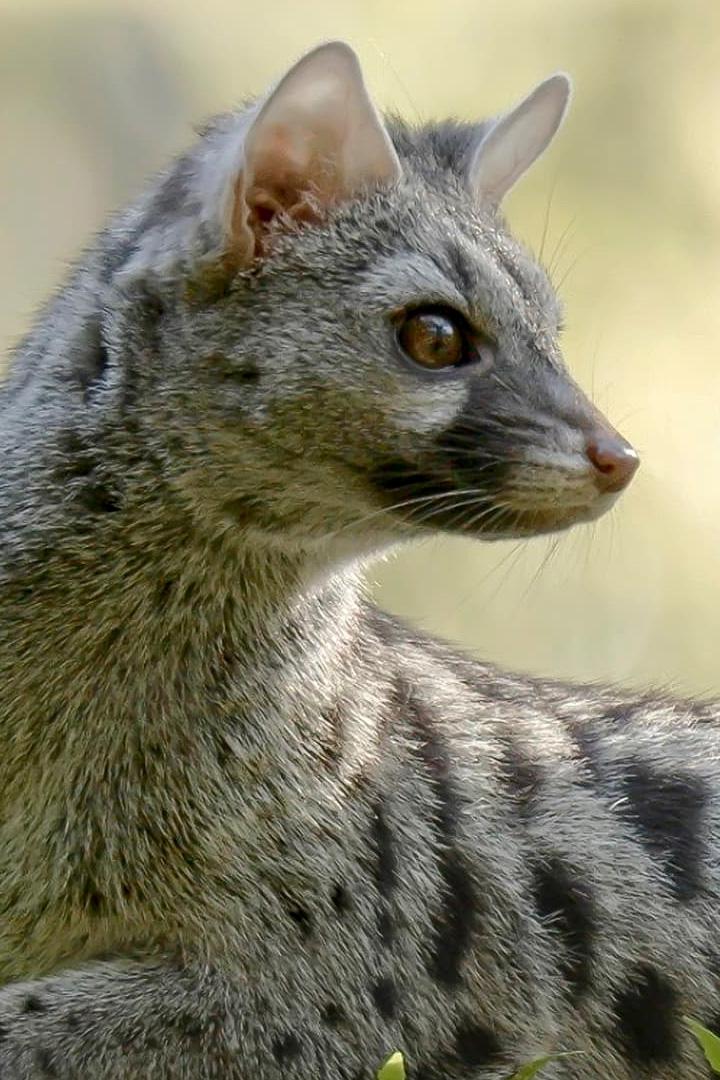 Скрытые чудеса Европы (skrytye-chudesa-evropy) Документальный сериал