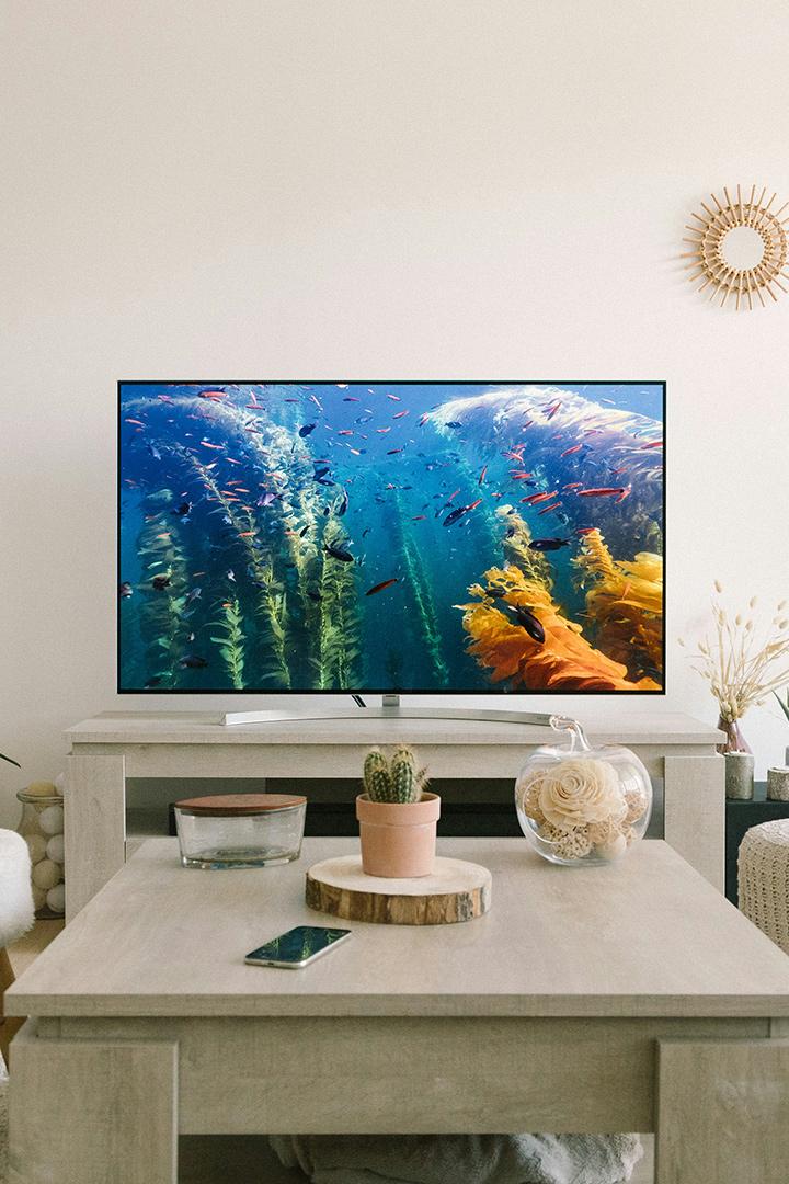 Адреналин (adrenalin) Досуг, хобби