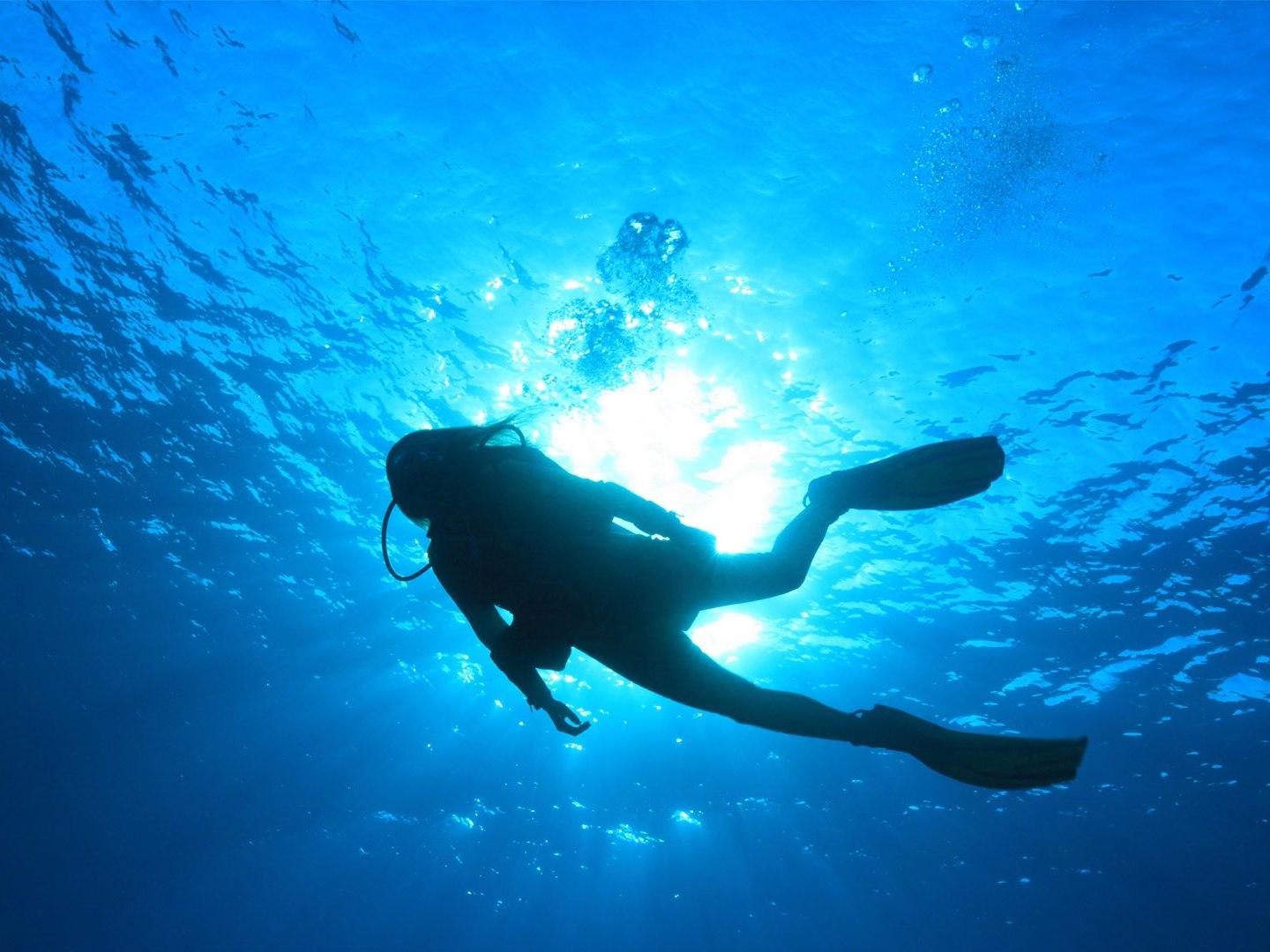 Дайвинг на зимнем Байкале (dajving-na-zimnem-bajkale) Документальный фильм