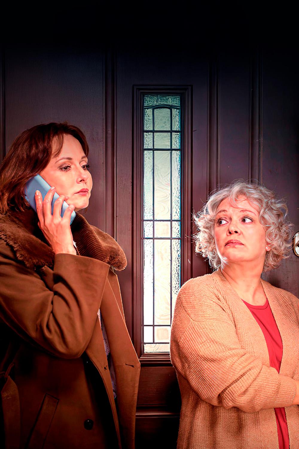 Укрощение свекрови 3 (ukroschenie-svekrovi-3) Фильм 2024