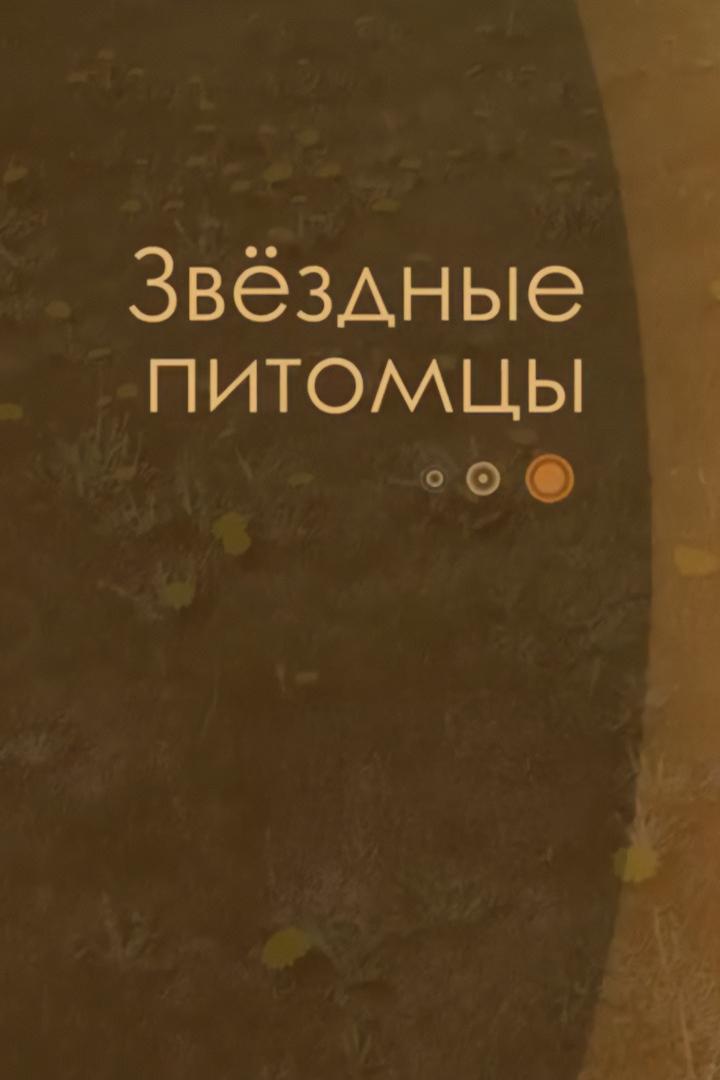 Звёздные питомцы (zvezdnye-pitomtsy) Досуг, хобби