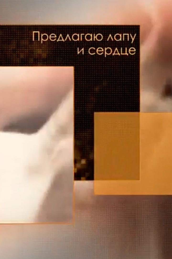 Предлагаю лапу и сердце (predlagaju-lapu-i-serdtse) Познавательное