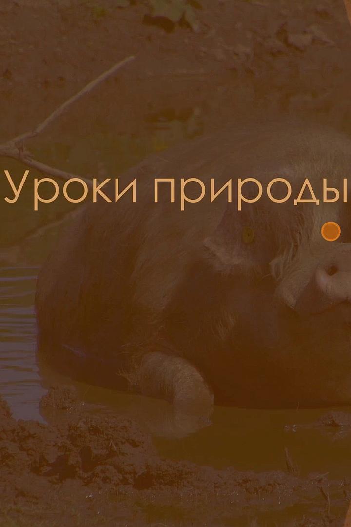Уроки природы (uroki-prirody) Познавательное