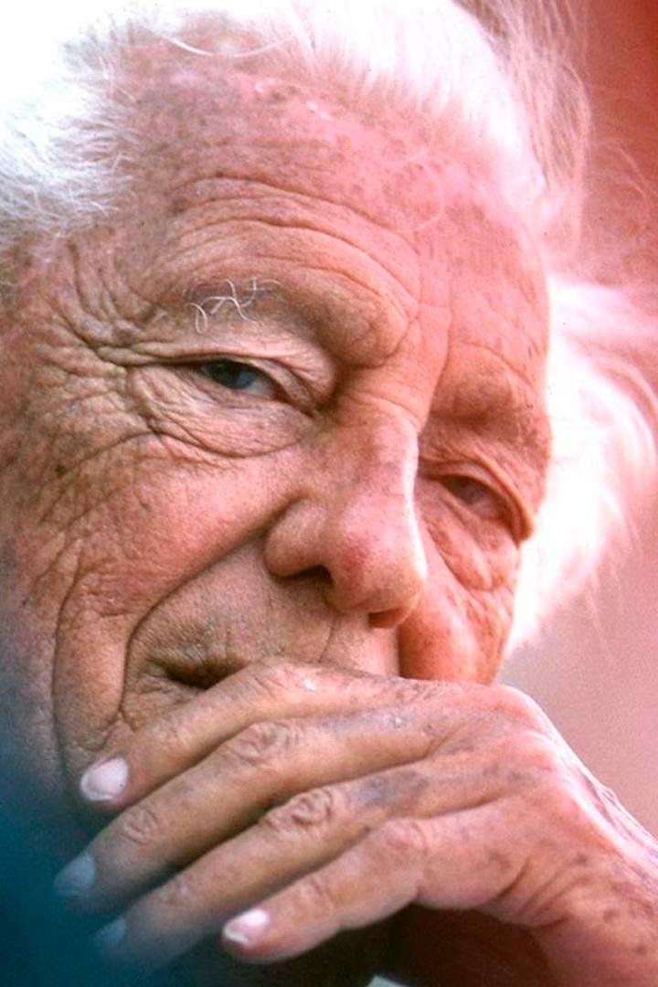 Gianni Agnelli, in arte l'avvocato (gianni-agnelli-in-arte-lavvocato) Документальный фильм