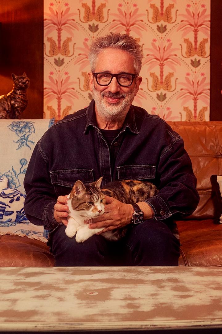 David Baddiel: Cat Man (david-baddiel-cat-man) Досуг, хобби