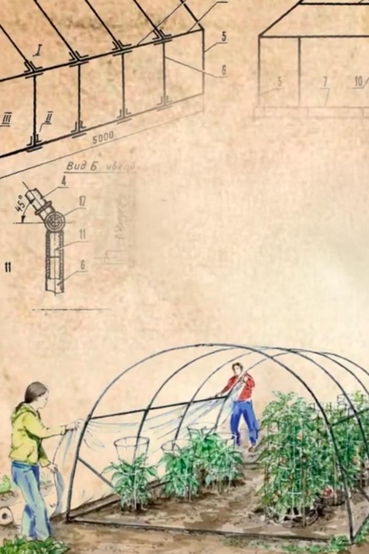 Идеальная теплица (idealnaja-teplitsa) Познавательное