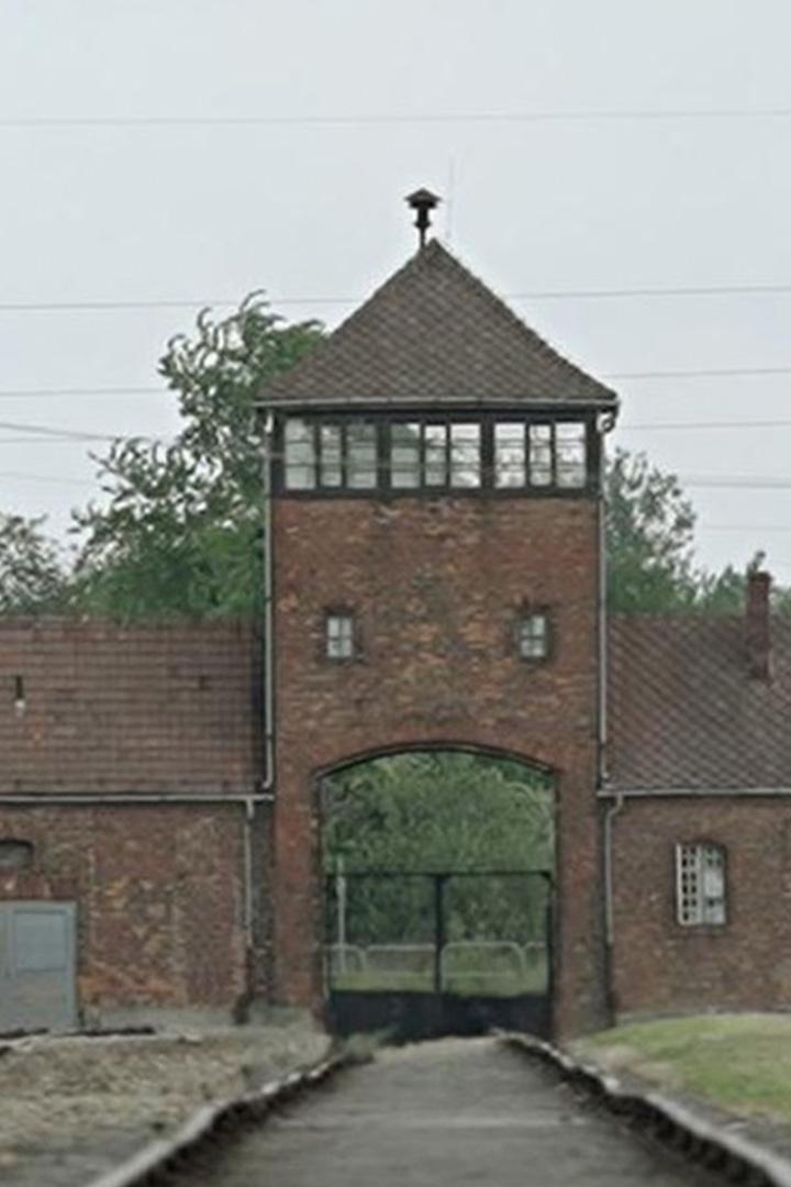 Auschwitz – Architektur des Mordes (auschwitz-architektur-des-mordes) Документальный фильм