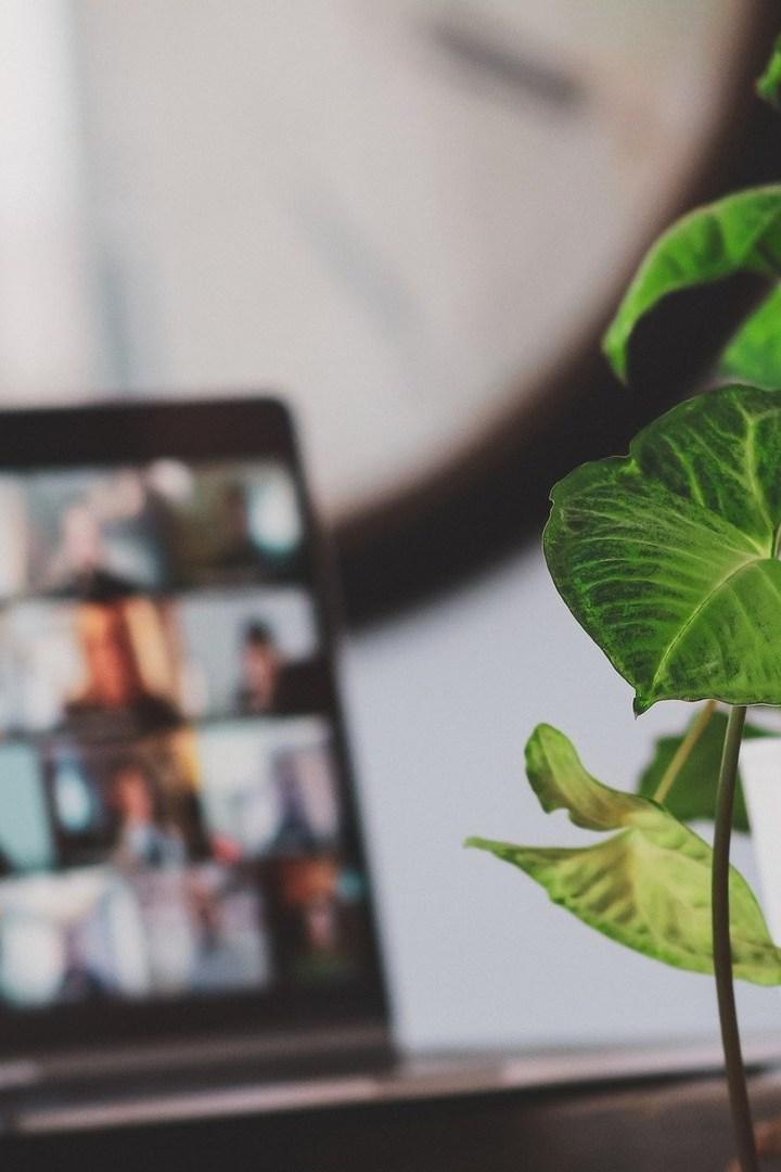 Ток-Шоу (tok-shou) Ток-шоу