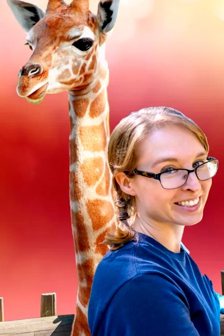 Секреты зоопарка: Северная Каролина (sekrety-zooparka-severnaja-karolina) Документальный сериал