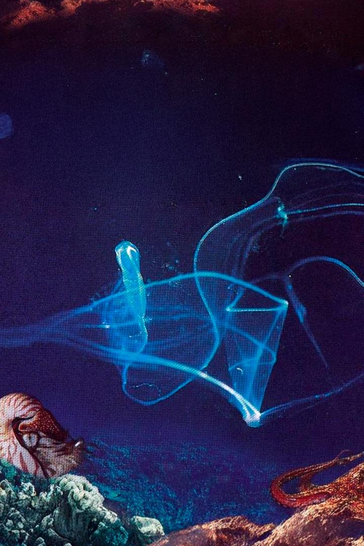 Рождение океана (rozhdenie-okeana) Документальный фильм