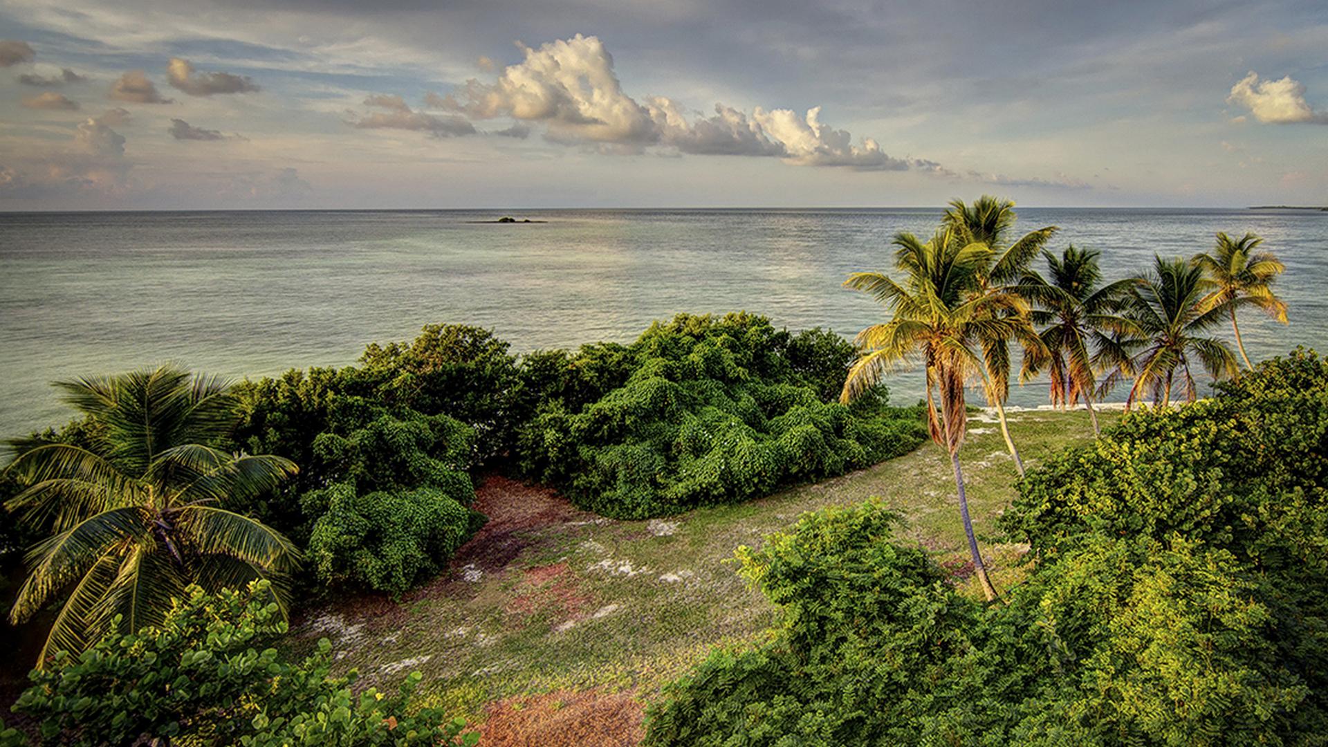 Дикая Флорида (dikaja-florida) Документальный сериал