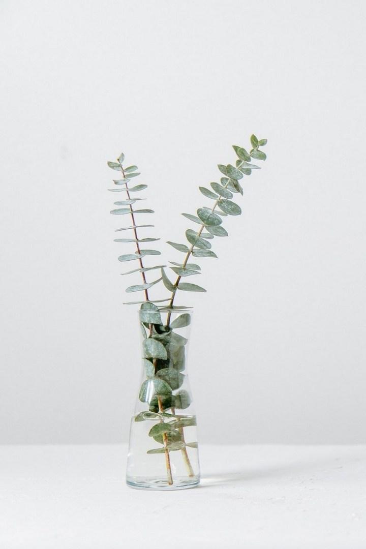 Пресс-конференция губернатора Ленинградской области Александра Дрозденко, посвященная подведению итогов 2025 года и приоритетам в 2026 году (press-konferentsija-gubernatora-leningradskoj-oblasti-aleksandra-drozdenko-posvjaschennaja-podvedeniju-itogov-2025-goda-i-prioritetam-v-2026-godu) Другое