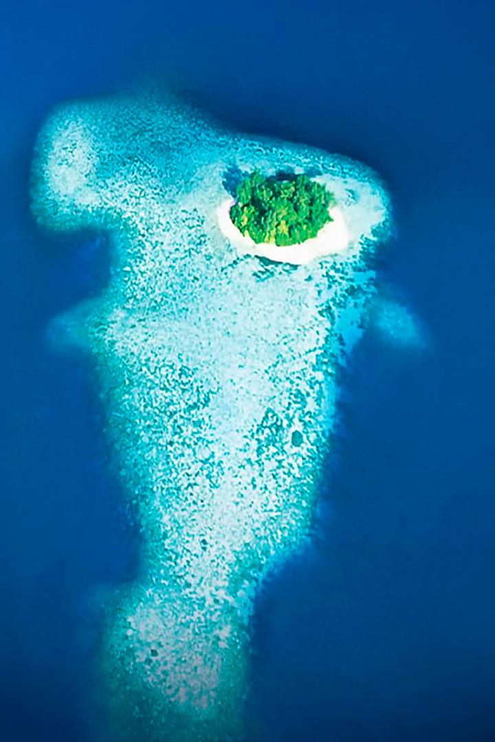 Тайны Тихого океана (tajny-tihogo-okeana) Документальный сериал