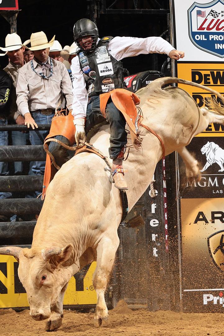 Скачки на быках (skachki-na-bykah) ТВ-шоу