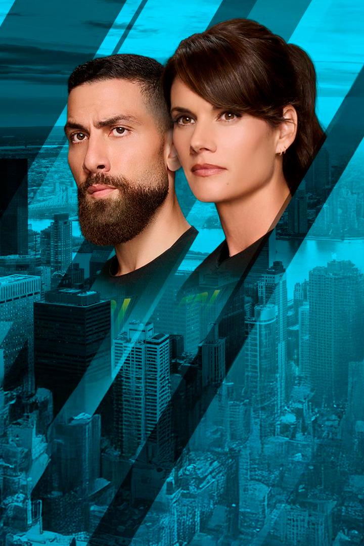 FBI: Special Crime Unit (fbi-special-crime-unit) Сериал 2018