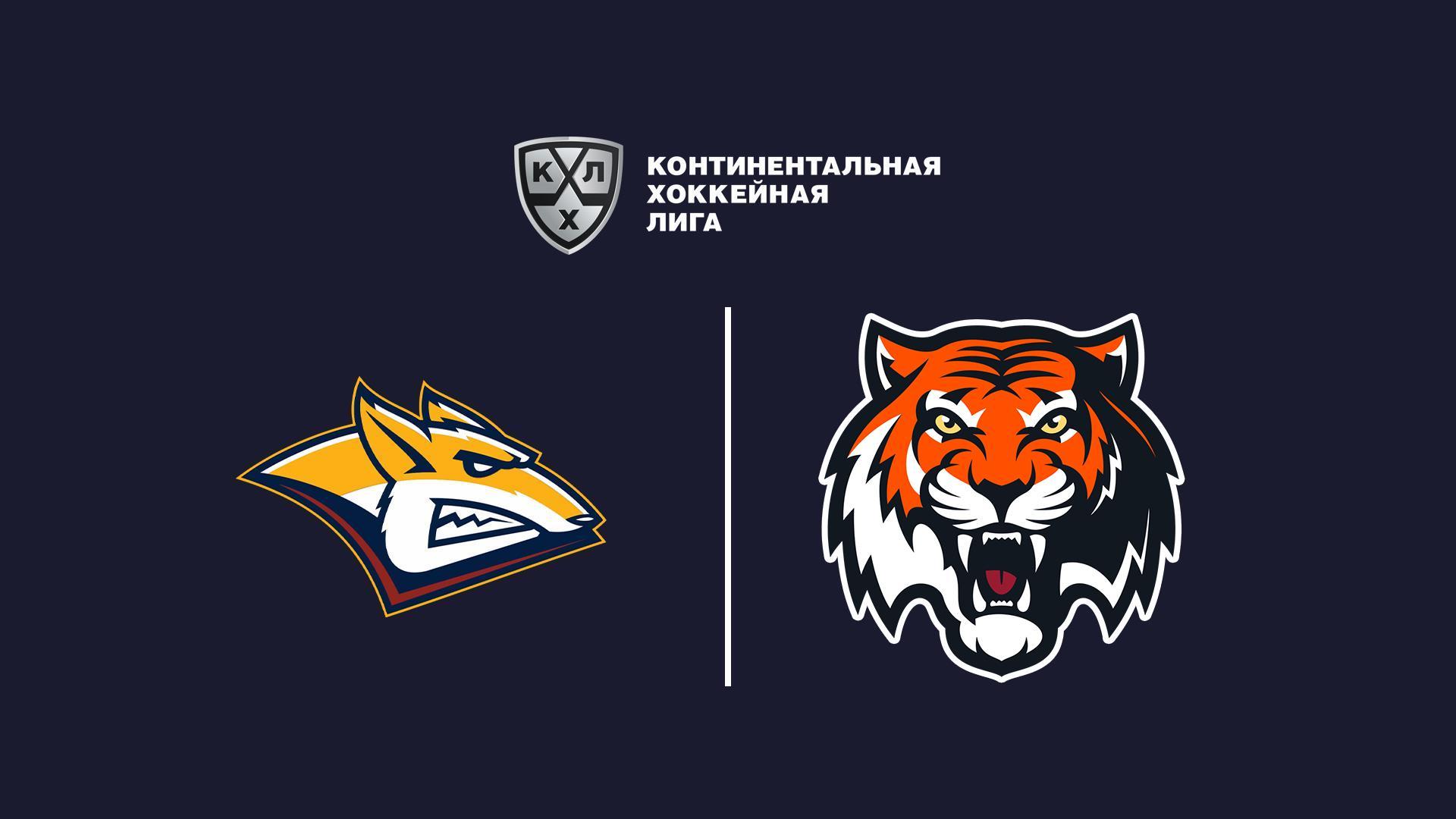 Хоккей. КХЛ, 21 апта, Металлург Магнитогорск - Амур (hokkej-khl-21-apta-metallurg-magnitogorsk-amur) Спорт