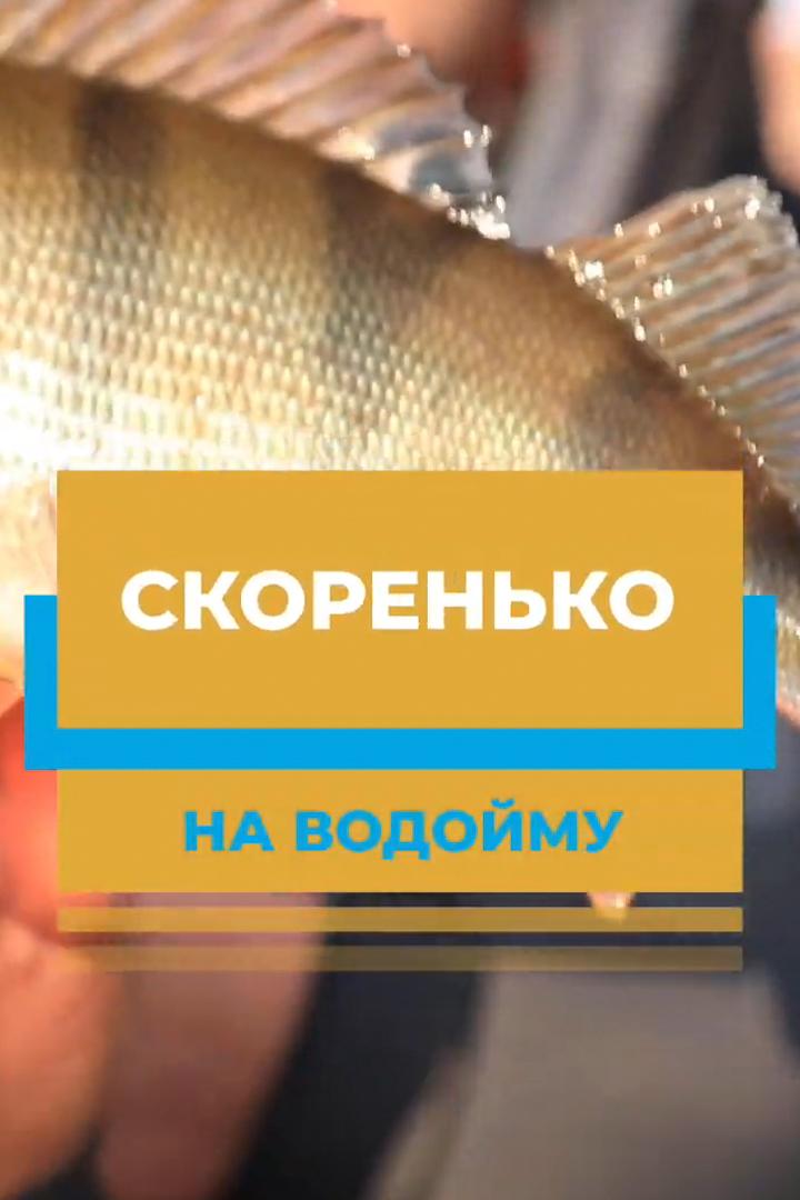 Скоренько на водойму (skorenko-na-vodojmu) Познавательное