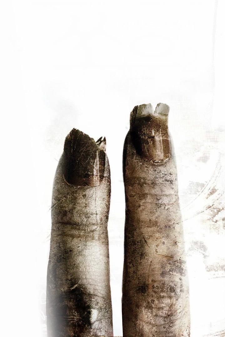 Пила-2 (pila-2) Фильм 2005