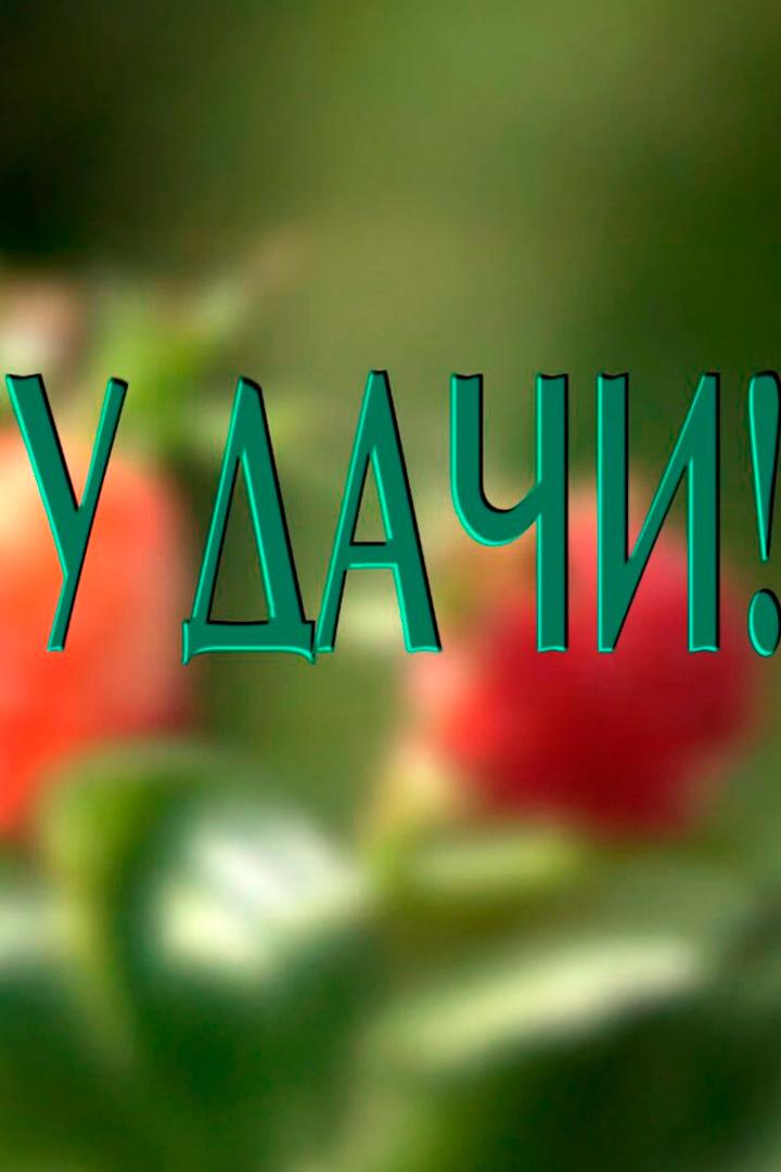 Удачи (udachi) Досуг, хобби