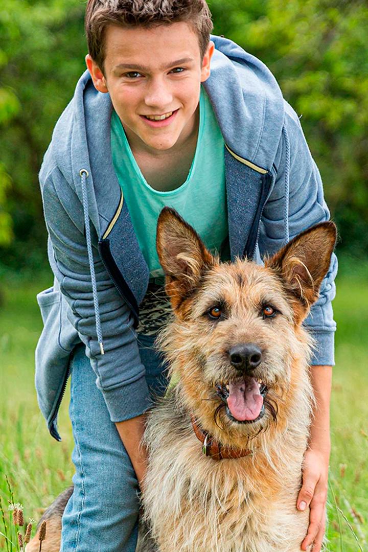 Racko — Ein Hund für alle Fälle (racko-ein-hund-fr-alle-flle) Сериал 2019