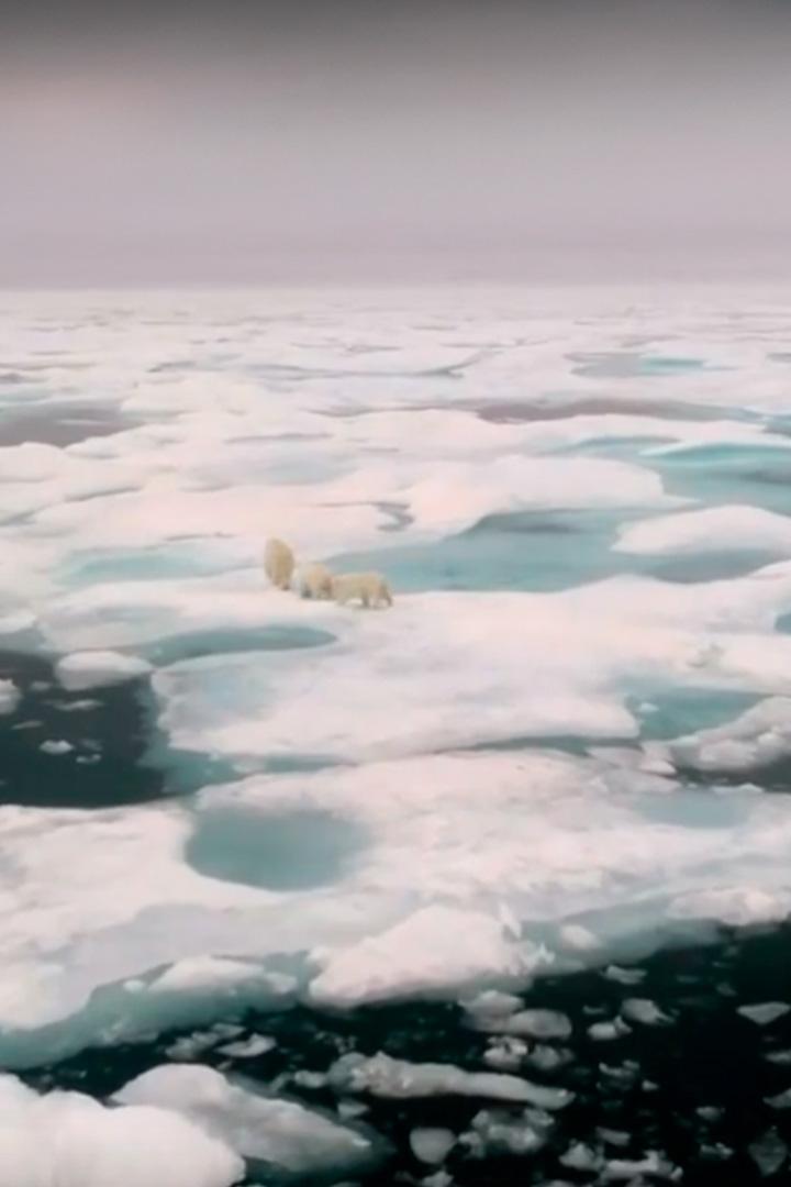 Арктическая экспедиция: свет в пучине (arkticheskaja-ekspeditsija-svet-v-puchine) Документальный фильм