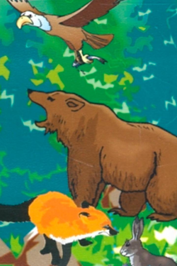 Сказки леса (skazki-lesa) Мультфильм 1997