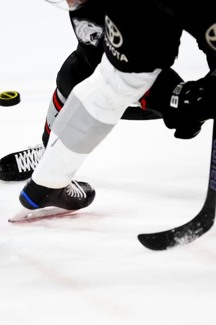 Хоккейный вечер (hokkejnyj-vecher) Досуг, хобби