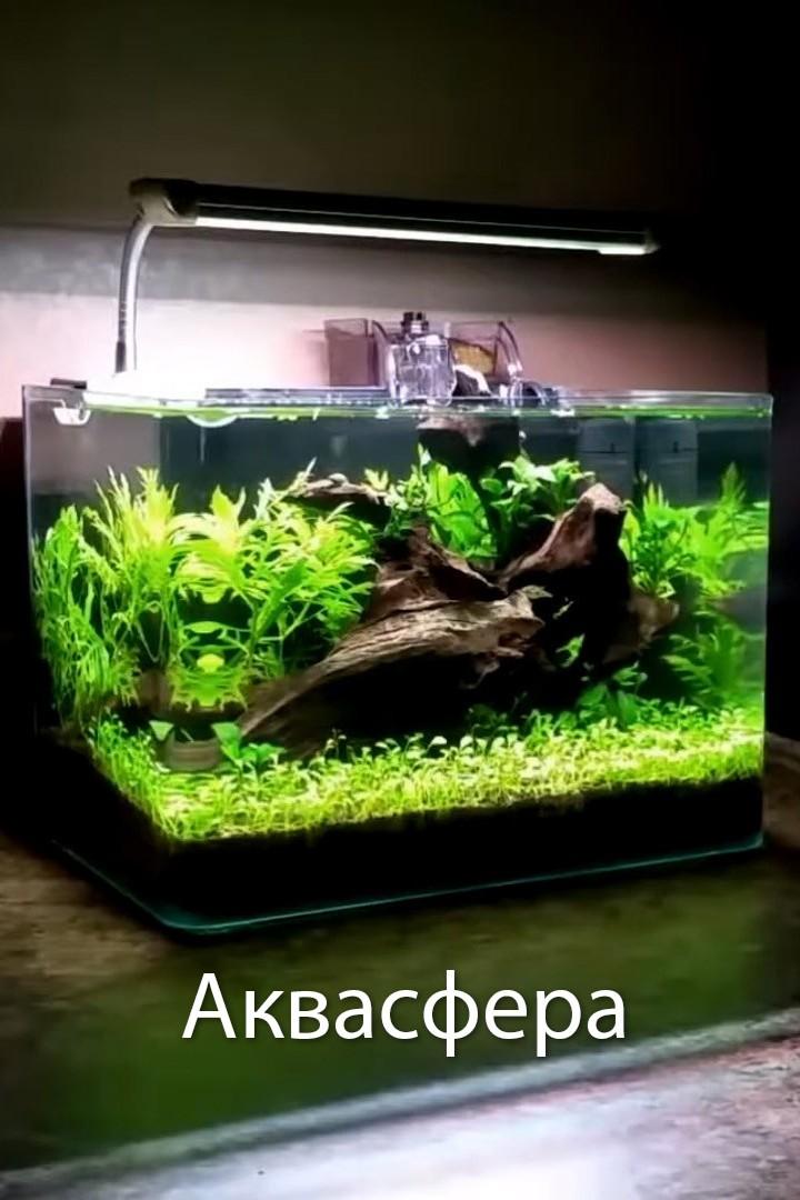 Аквасфера (akvasfera) Познавательное