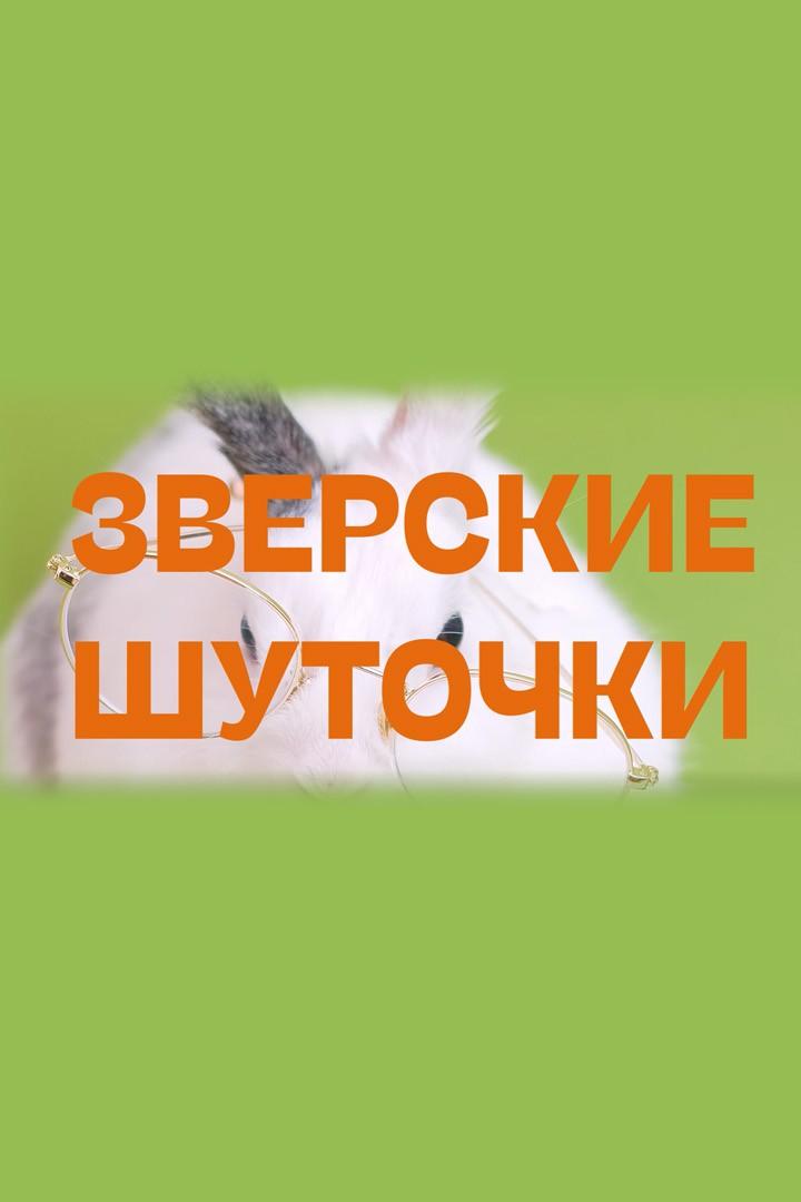 Зверские шуточки (zverskie-shutochki) Досуг, хобби