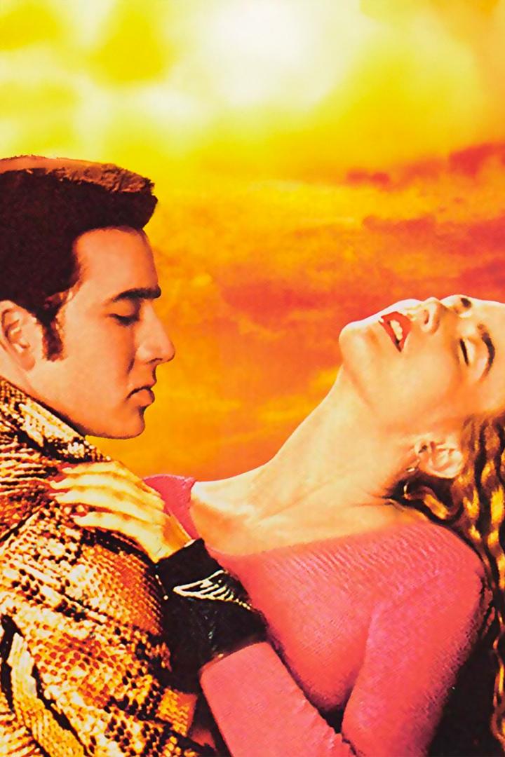 Дикие сердцем (dikie-serdtsem) Фильм 1990