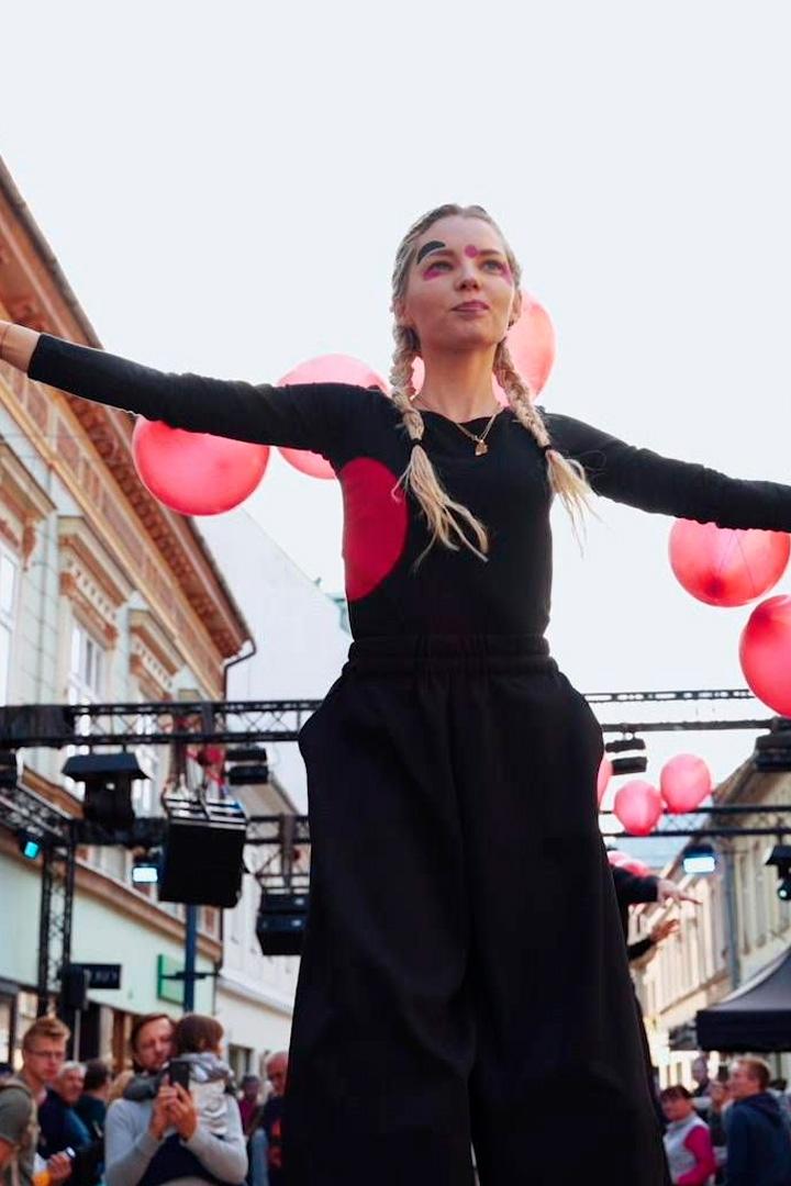 Polska Stolica Kultury 2026 - Bielsko - Biała (polska-stolica-kultury-2026-bielsko-biaa) Познавательное