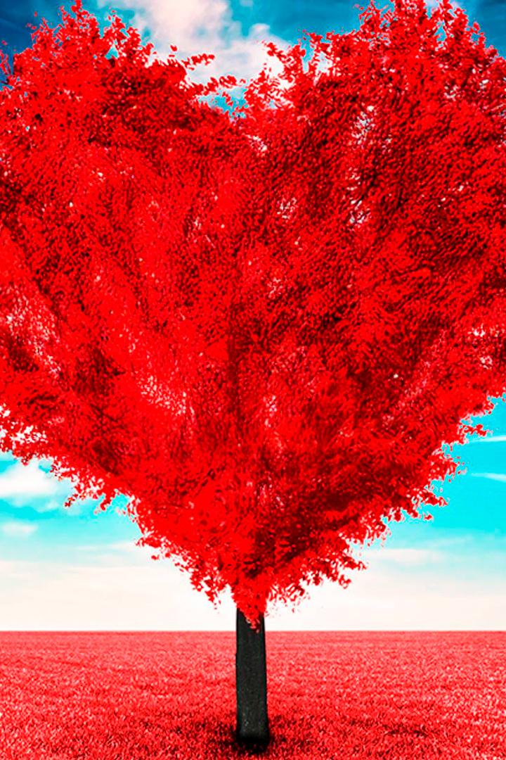 Как научиться любить? (kak-nauchitsja-ljubit) Досуг, хобби