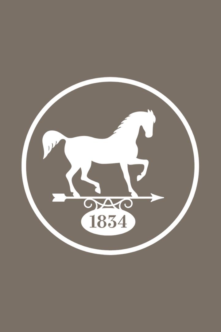 Скачки. Открытие скакового сезона. Трансляция из Грозного (skachki-otkrytie-skakovogo-sezona-transljatsija-iz-groznogo) Досуг, хобби