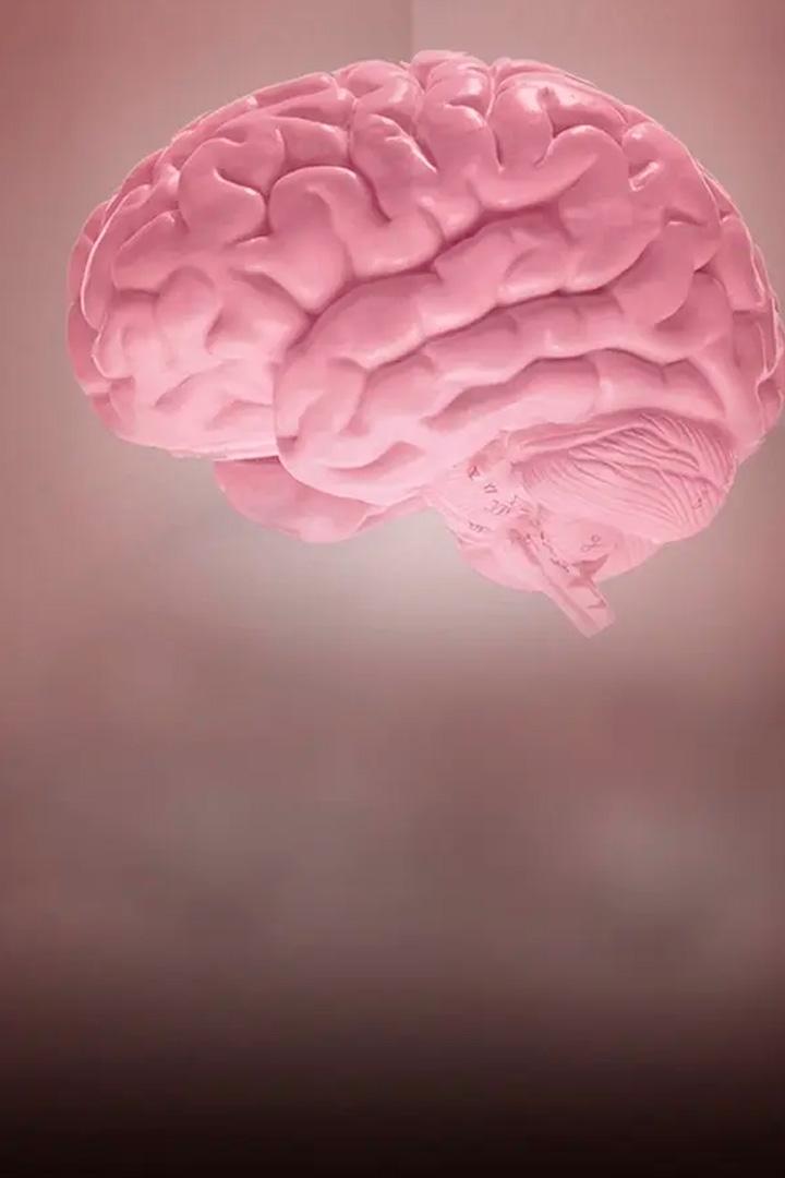 Наш удивительный мозг (nash-udivitelnyj-mozg) Документальный сериал