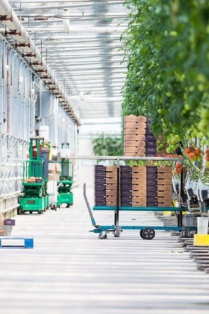 Пищевая фабрика (pischevaja-fabrika) Документальный сериал