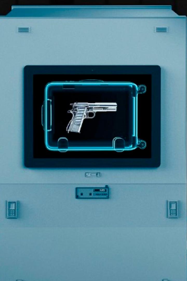 Служба безопасности аэропорта: Первый класс (sluzhba-bezopasnosti-aeroporta-pervyj-klass) Документальный сериал