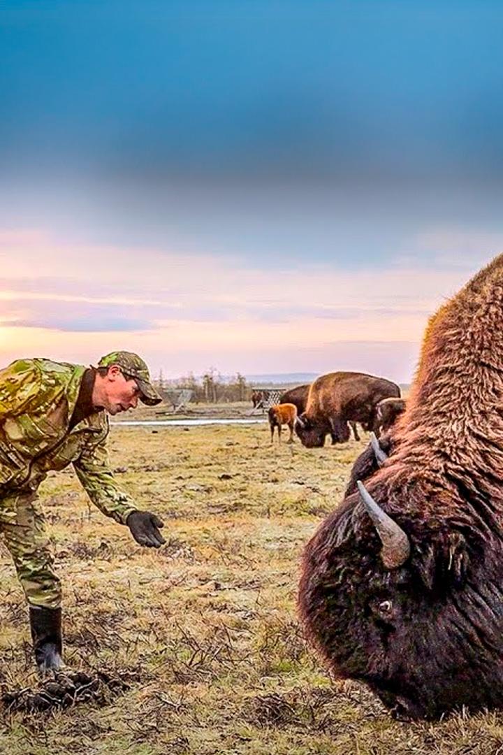 Ямал – земля героев. Говорящий с природой (jamal-zemlja-geroev-govorjaschij-s-prirodoj) Документальный фильм
