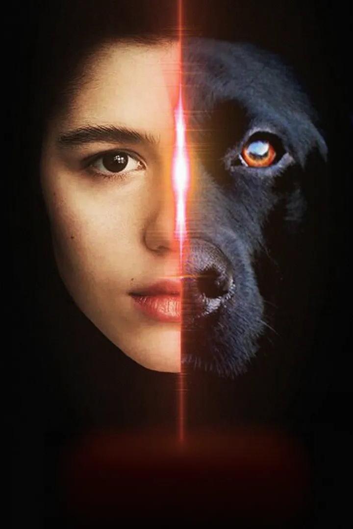 Догги (doggi) Фильм 2025