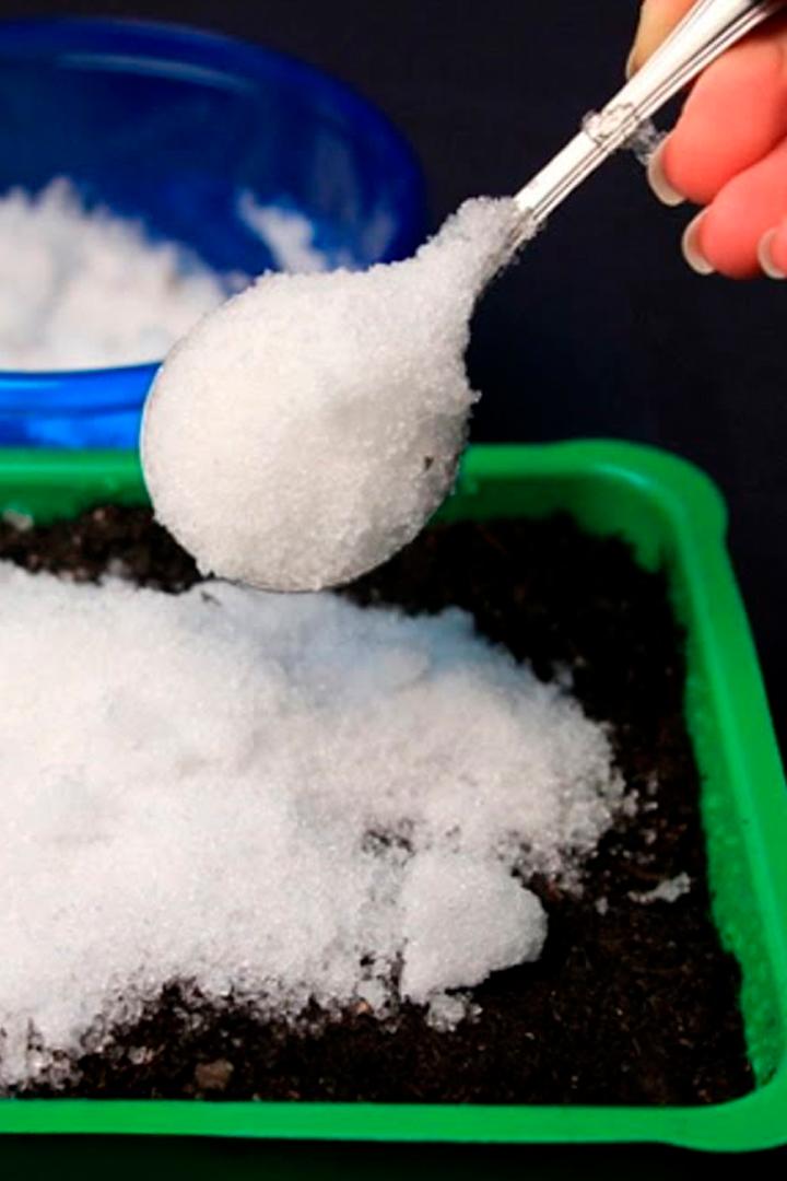 Посев семян на снег (posev-semjan-na-sneg) Досуг, хобби