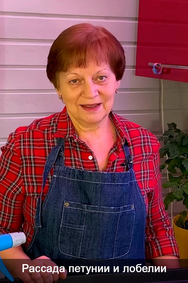 Рассада петунии и лобелии (rassada-petunii-i-lobelii) Досуг, хобби