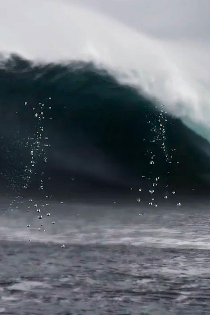 Мой личный монстр (moj-lichnyj-monstr) Документальный фильм