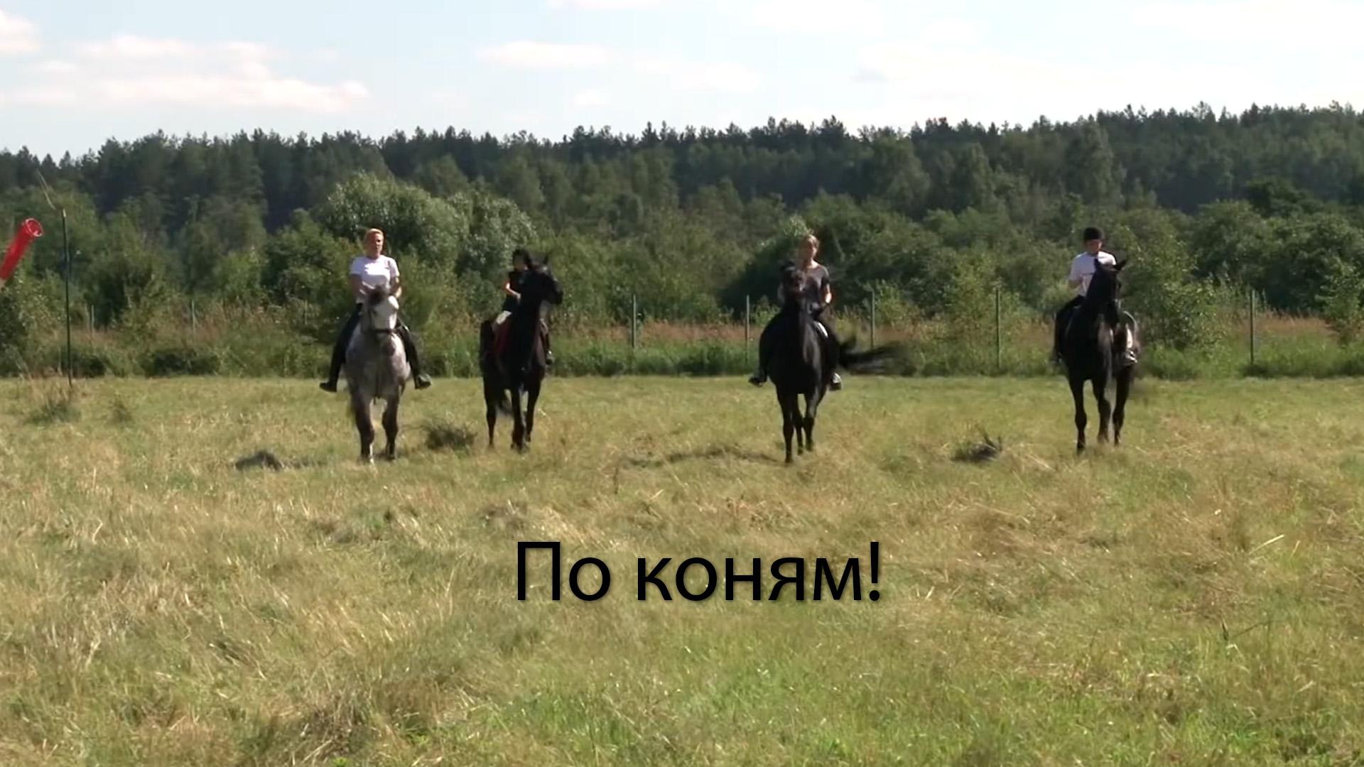 По коням! (po-konjam) Досуг, хобби