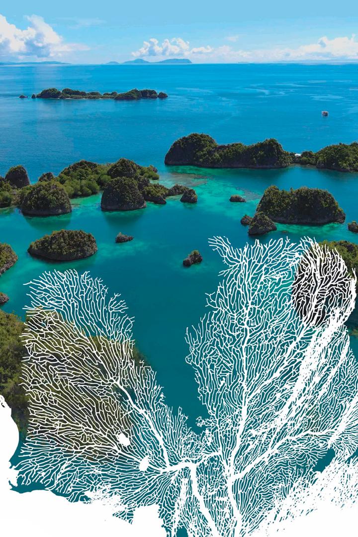 Тихий океан (tihij-okean) Документальный сериал