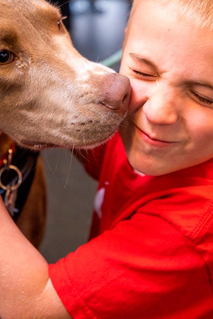 Герои среди нас (geroi-sredi-nas) Реалити-шоу