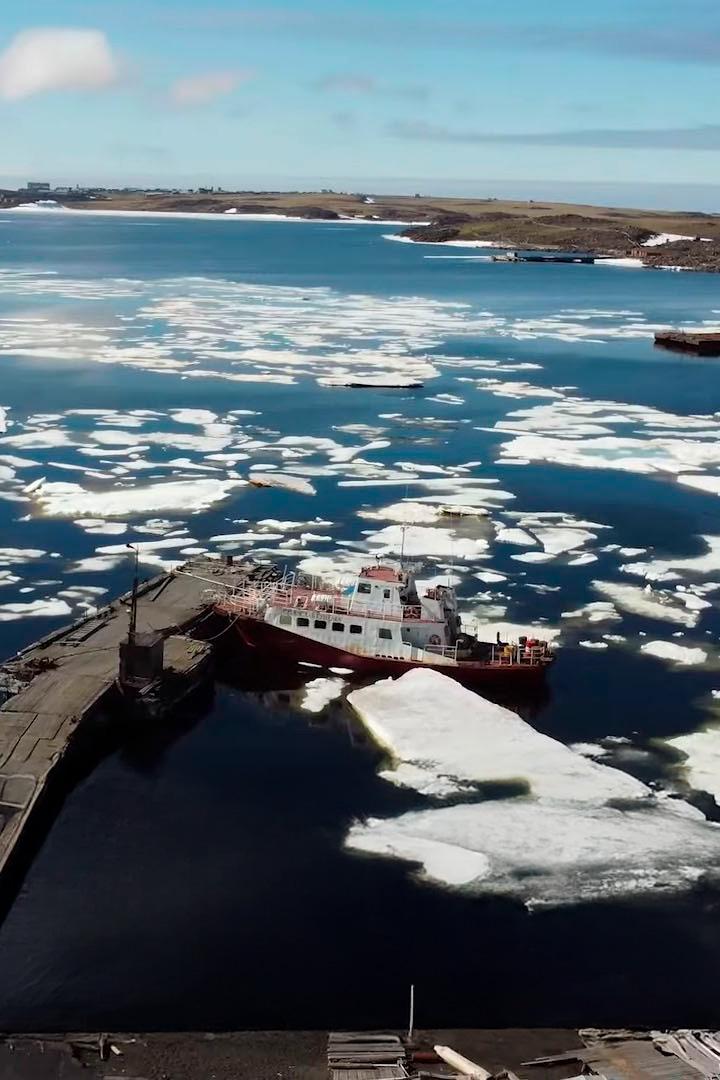 Сердце Диксона (serdtse-diksona) Документальный фильм