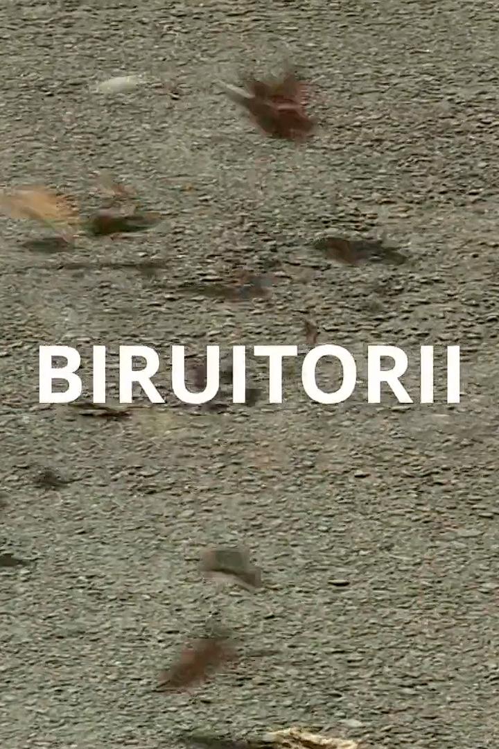 Biruitorii (biruitorii) Документальный сериал