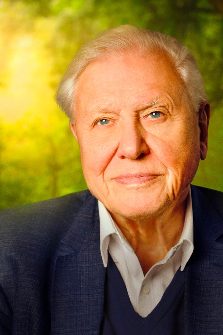 Дэвид Аттенборо: Жизнь на нашей планете (devid-attenboro-zhizn-na-nashej-planete) Документальный фильм